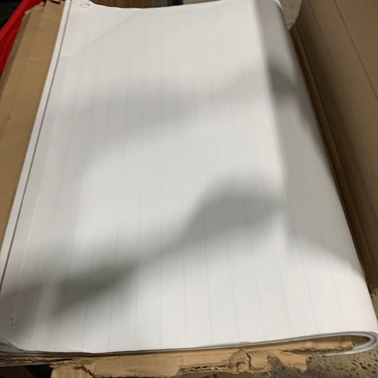 TOPS Standard Easel Pads, 27 X 34 Inches, 1-Inch Horizontal Rule, White, 50 Sheets per Pad, Carton of 2 Pads (79041)