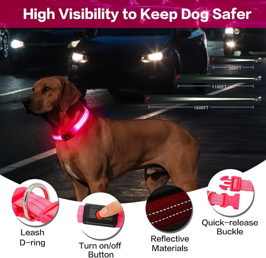 2 x Light Up Dog Collar for Night Walking Flashing, LED Dog Collar Light Rechargeable Reflective Dog Collar Water-Resistant Adjustable Size Dog Collars for Medium Dogs