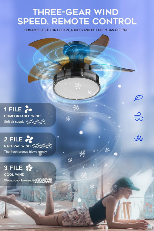 LEDMO Ceiling Fans with Lights and Remote Control, 24 inch Black Ceiling Fan, Quiet Reversible Motor, 5 Blades, Multi-Speed Reversible Airflow for All Seasons Bedroom, Living Room, Kitchen, Office