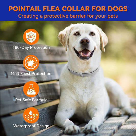 Pointail Flea & Tick Collar for Dogs, Vet-Recommended Flea & Tick Treatment & Prevention Collar for Dogs, 1 Count, 15"