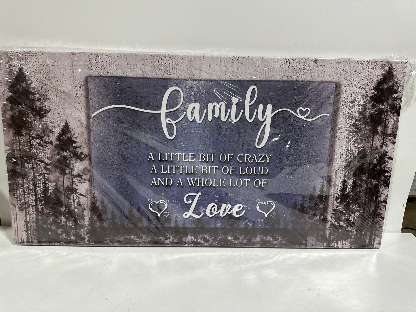 Family Quotes Canvas Wall Art,Family a Little Bit of Crazy Loud Love Wall Art for Living Room,Inspirational Motto Canvas Prints Poster Stretched Framed Artworks for Home Bedroom Office Wall Decor