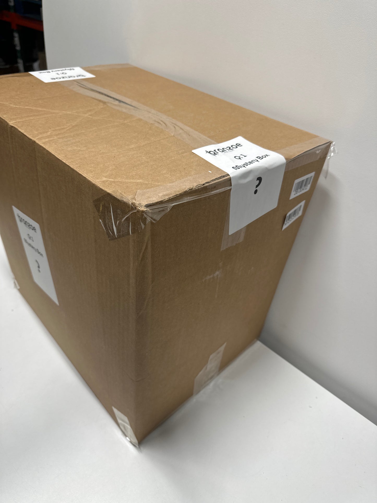 Branzoe Retail Outlet Mystery Box - 20" x 18" x 14" (Gen Merch Overstock)