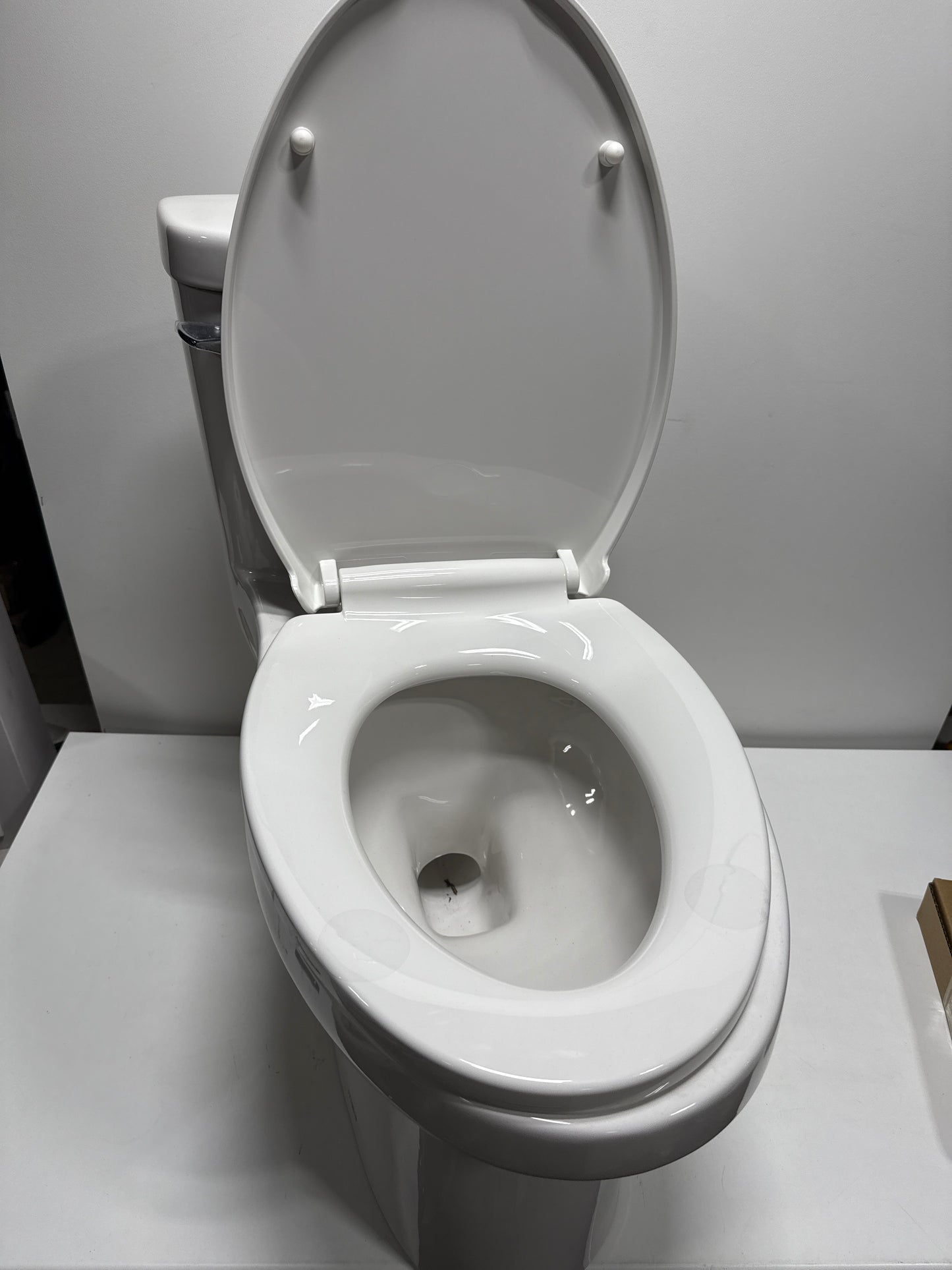 See Desc WaterRidge One-piece Elongated Toilet