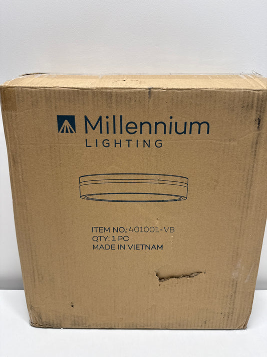 Millennium Lighting 401001 Soltra 13 Wide LED Flush Mount Drum Ceiling Fixture - Brass