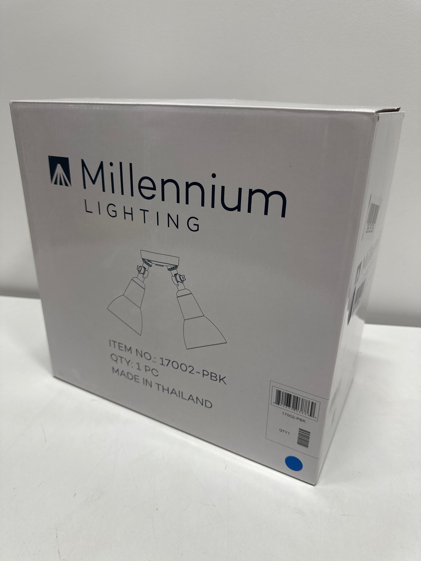 Millennium Lighting 17002 Twin Head 16 Wide Adjustable Flood Light - Black