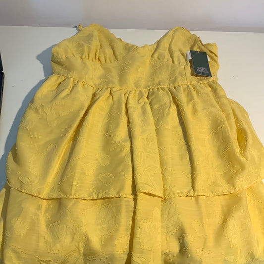 Women's Sleeveless Tiered Fit & Flare Dress - Wild Fable XL