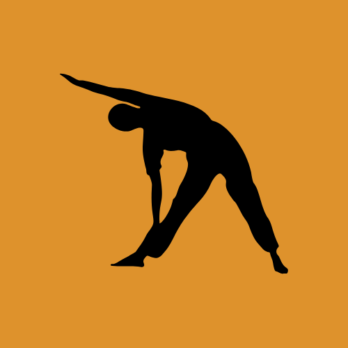 Fitness & Exercise Equipment