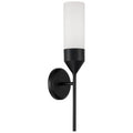 Capital Lighting 652411 Devon 20' Tall Bathroom Sconce - Black