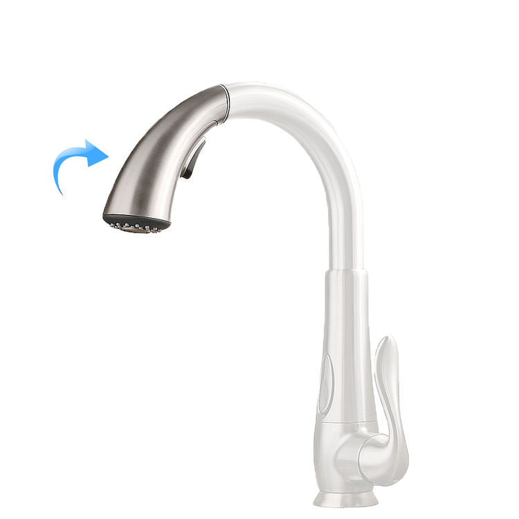 PFister 950-283S Replacement Shower Head