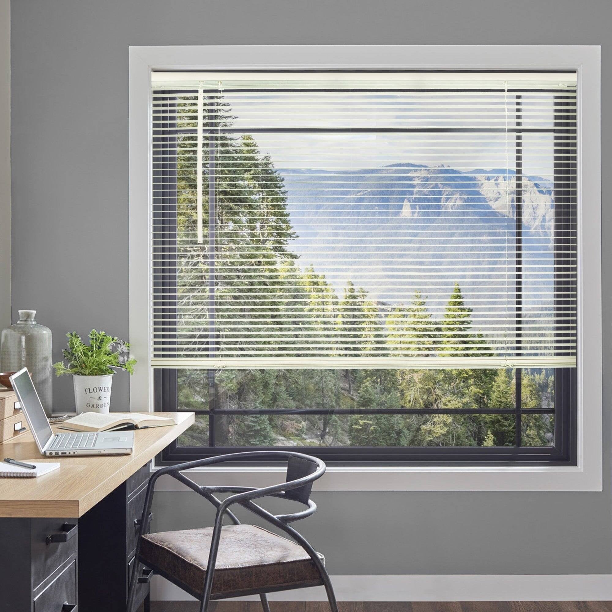 Chicology 36 W X 36 H Cordless Vinyl Mini Blinds 1 in Slats Light Filtering Alabaster Easy Install