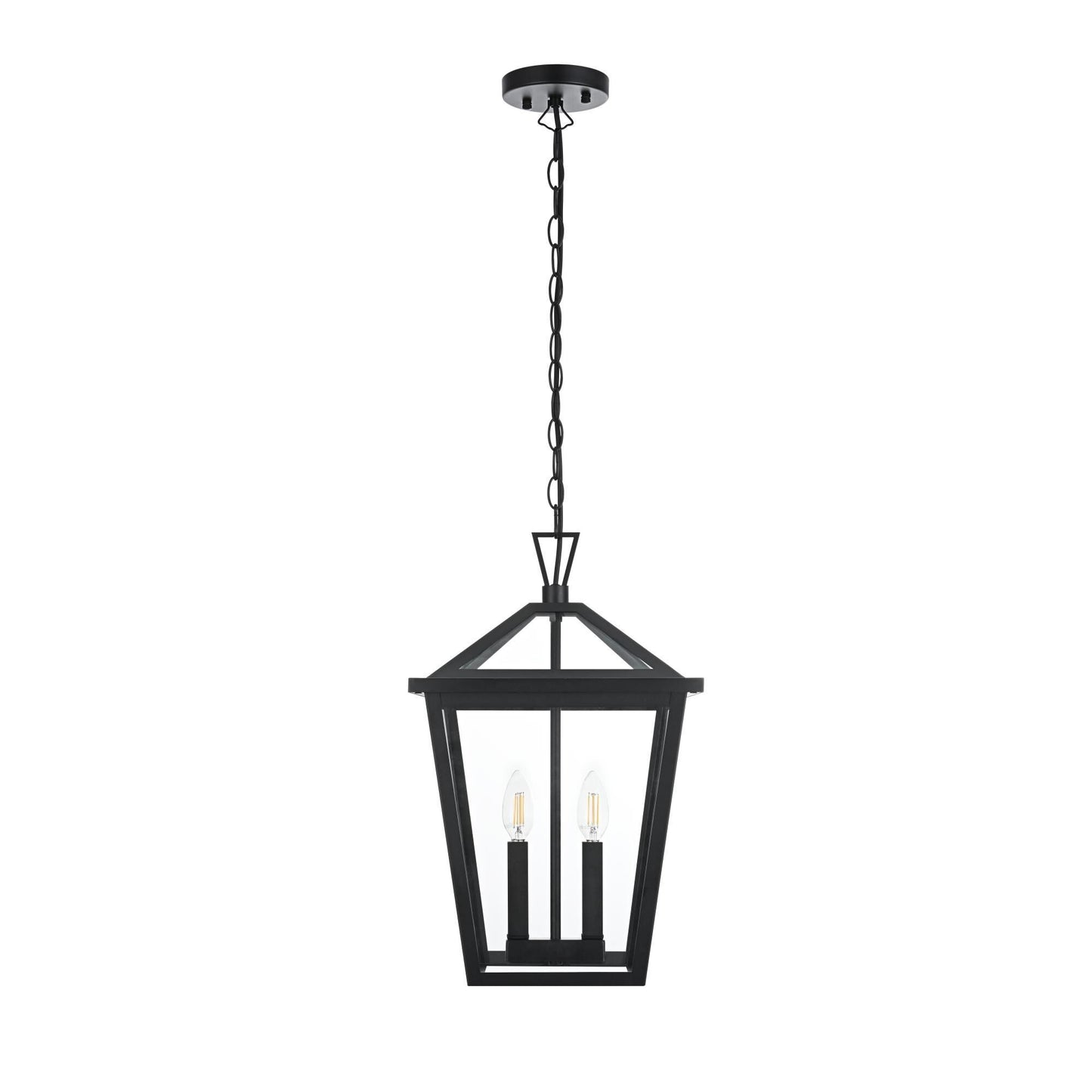 Elegant Lighting OD334H19 Frankford 2 Light 12" Wide Outdoor Pendant Black