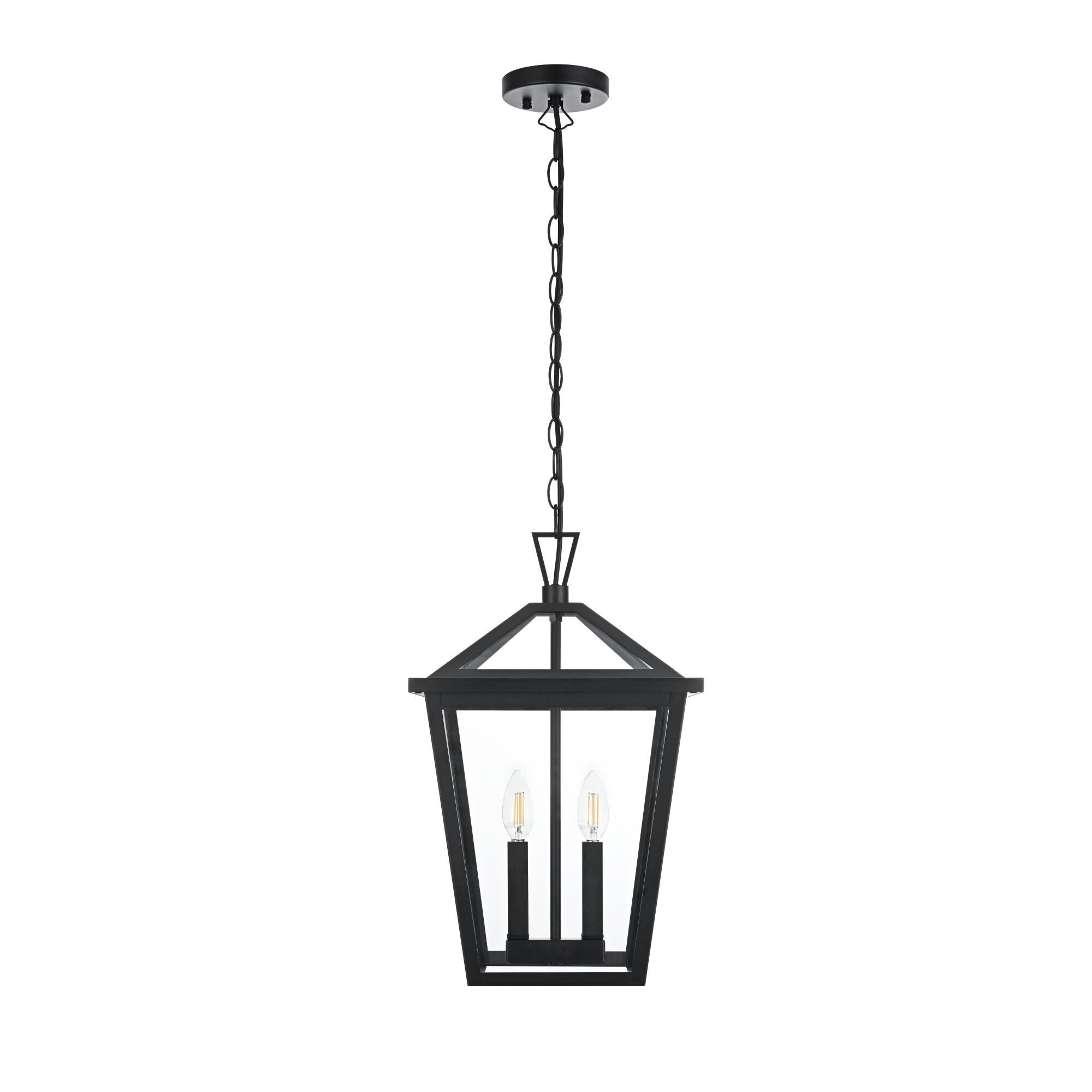 Elegant Lighting OD334H19 Frankford 2 Light 12" Wide Outdoor Pendant Black