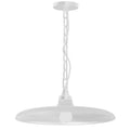 Dainolite 1 Light Incandescent Pendant Matte White