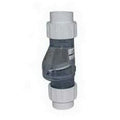 Zoeller 30-0043 50 PSI PVC 2-Port Check Valve 2