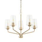 Progress Lighting P400442 Celino 5 Light 26" Wide Chandelier Champagne Bronze