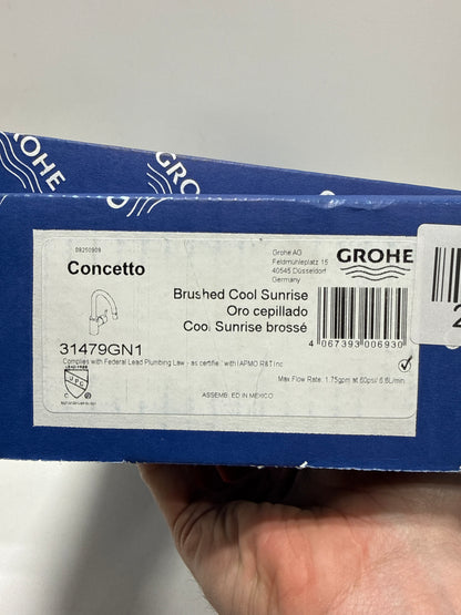 Concetto Single-Handle Dual Spray Pull-Out Sprayer Kitchen Faucet 1.75 GPM in Brushed Cool Sunrise