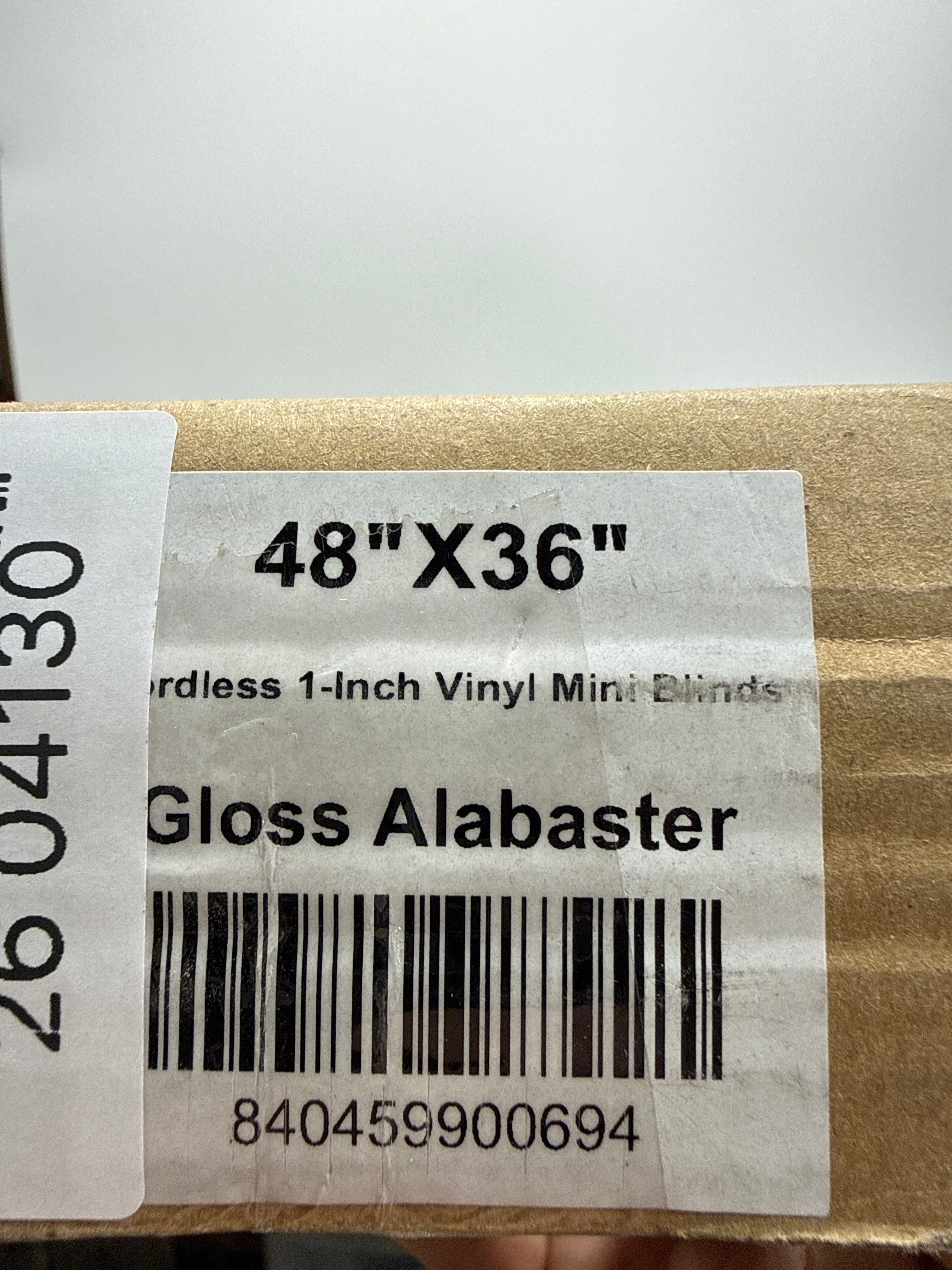 Chicology 48 W X 36 H Cordless Vinyl Mini Blinds 1 in Slats Light Filtering Alabaster Easy Install