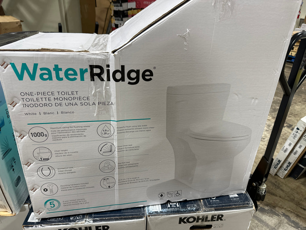 WaterRidge One-piece Elongated Toilet - *Plumbing