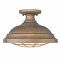 Golden Lighting Bartlett 2-light Semi-Flush Mount in Copper Patina