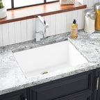 Signature Hardware 447657 Totten 25" Drop In or Undermount Single Basin Granite Composite Kitchen Sink