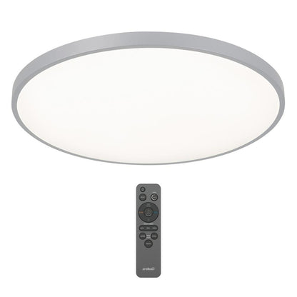 Europa 21 in. Silver LED 3CCT Flush Mount Ceiling Light with Night Light Preset and Remote