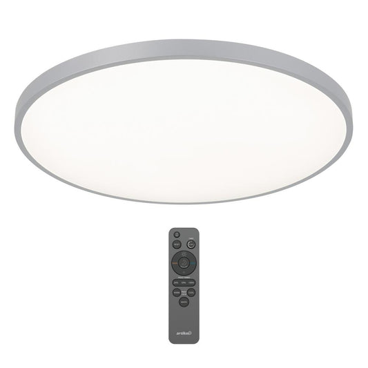 Europa 21 in. Silver LED 3CCT Flush Mount Ceiling Light with Night Light Preset and Remote