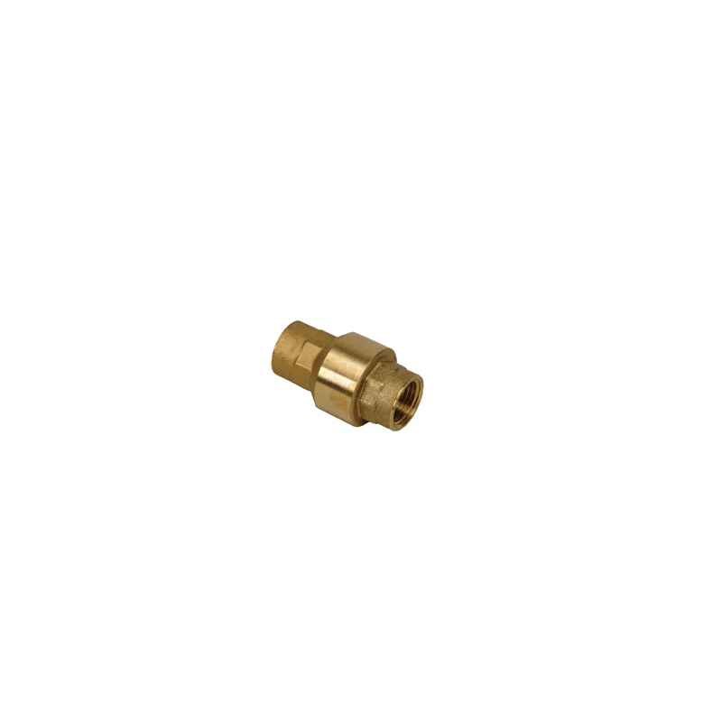 Proflo Pfxscvg 1 Spring Check Valve