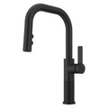 Montay Single-Handle Pull Down Sprayer Kitchen Faucet in Matte Black - *Plumbing