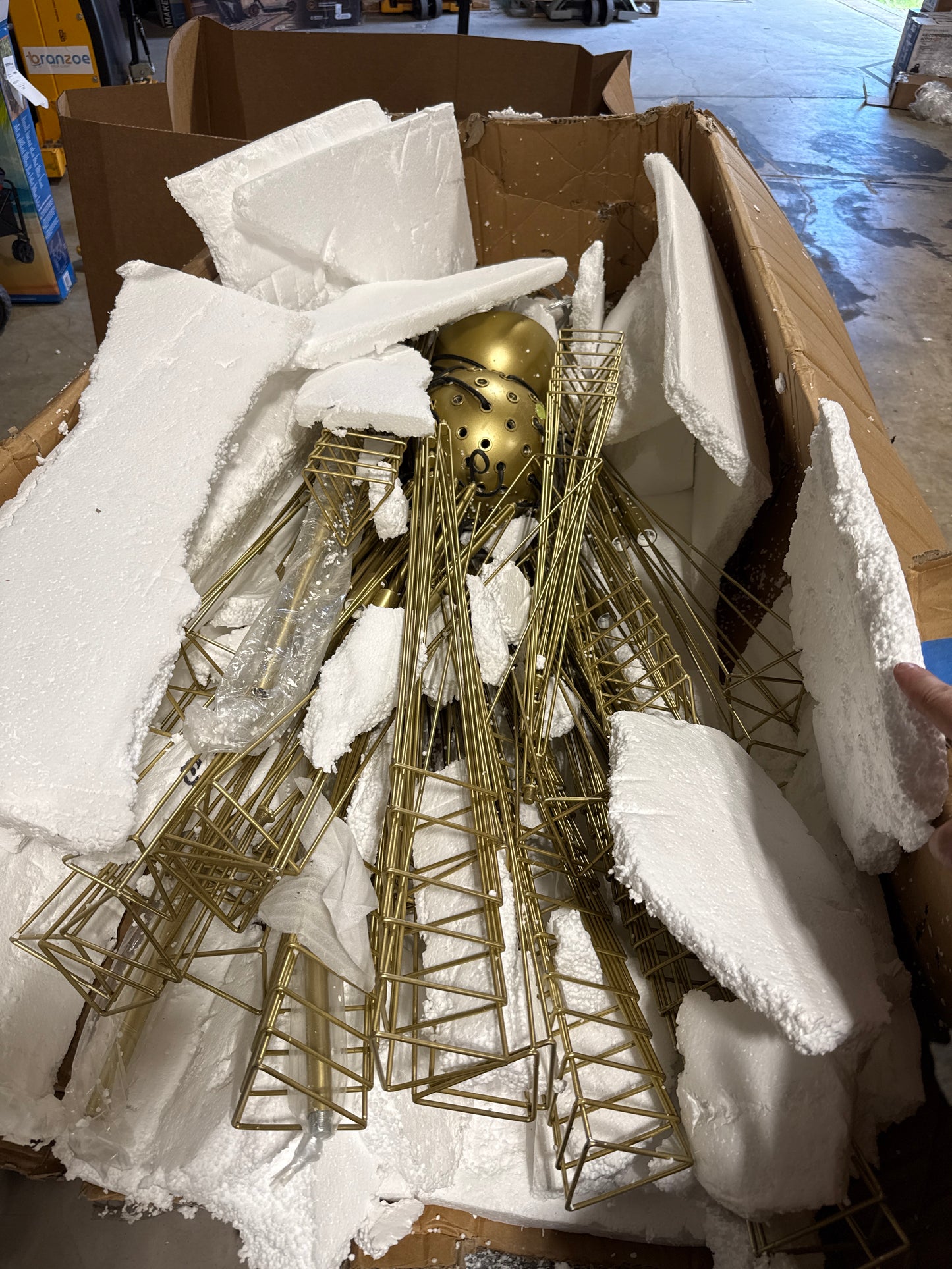 Eurofase 43865-025 Dendelio 35 Light 54 inch Chandelier in Matte Gold