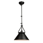 Artcraft Lighting Brydon Pendant Light / Wall Sconce in Black