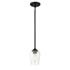 Shyloh 1-Light Black Mini Pendant to Semi-Flush with Clear Seeded Glass Shade - *Lighting & Electrical