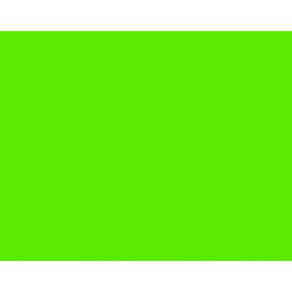 BAZIC 22" X 28" Fluorescent Green Poster Board (Case of 25)