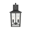 Millennium Lighting Fetterton 18 Inch Tall 2 Light Outdoor Hanging Lantern Fetterton - 2972-PBK - Transitional