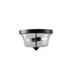 Minka Lavery 4927-66A Shyloh Flush Mount, 2-Light, 120 Total Watts, 13.75-in H x 7.75-in W, Coal Black