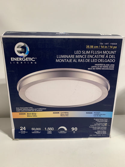Energetic 14 Slim LED Flush Mount Light Fixture. Brushed Nickel
