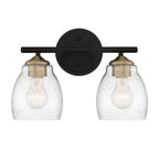 Minka Lavery 2432-878 Winsley Wall Sconce 2-Light 120 Total Watts 14-in H x 9.88-in W Coal Black and Stained Brass