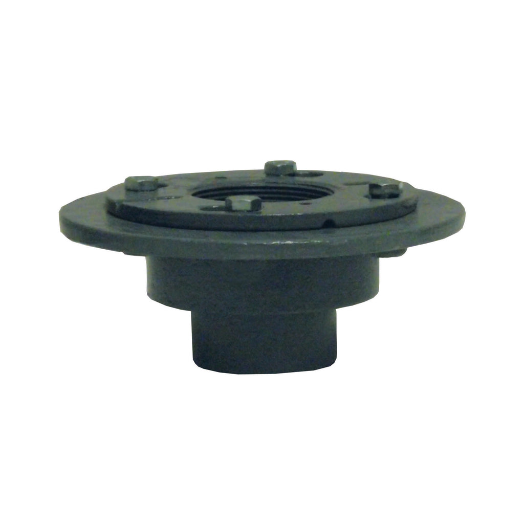 Newport Brass 278-01 Decorative Drains Cast Iron 2" IPS Shower Drain Body, N/A