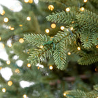 Kirkland 7.5’ Pre-lit Radiant Micro LED with Twinkle Artificial Christmas Tree - *Christmas & Seasonal