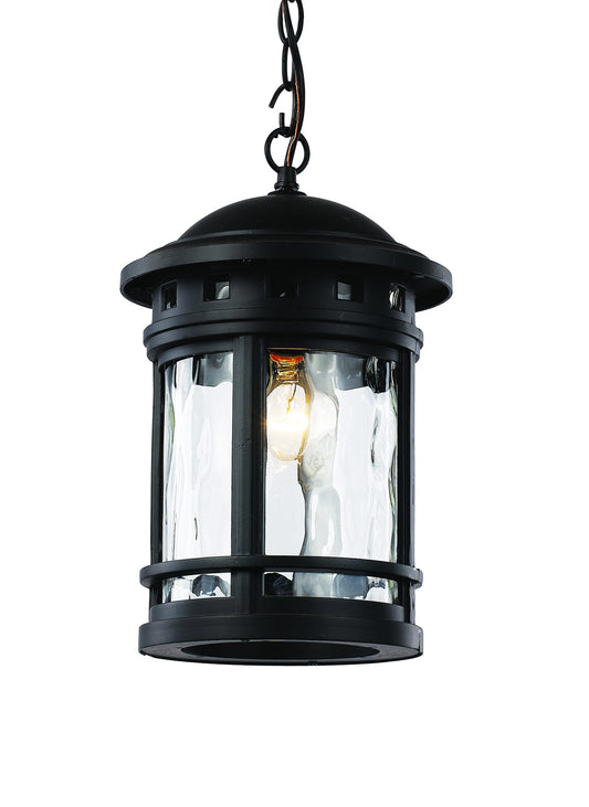 Boardwalk Collection 1-Light, Outdoor Hanging Lantern Pendant with Water Glass, Rust