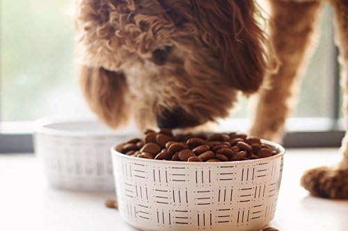Waggo Mudcloth Ceramic Dog Bowl in Line  Print - Heavyweight and Durable Pet Food and Water Dish Crock, Dishwasher Safe, Modern (Line Print)