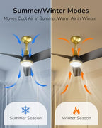 ULG Ceiling Fans with Lights 52 Inch Black Gold Ceiling Fan Light with APP&Remote Control 6 Speeds Dimmable LED