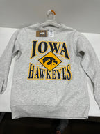 NCAA Iowa Hawkeyes Men's Crew Neck Fleece Ash Sweatshirt - S