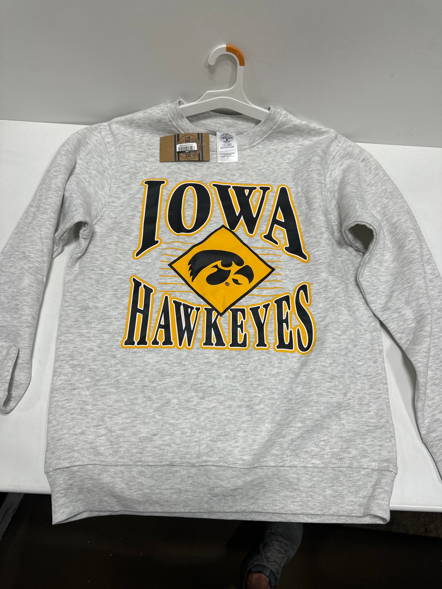 NCAA Iowa Hawkeyes Men's Crew Neck Fleece Ash Sweatshirt - S