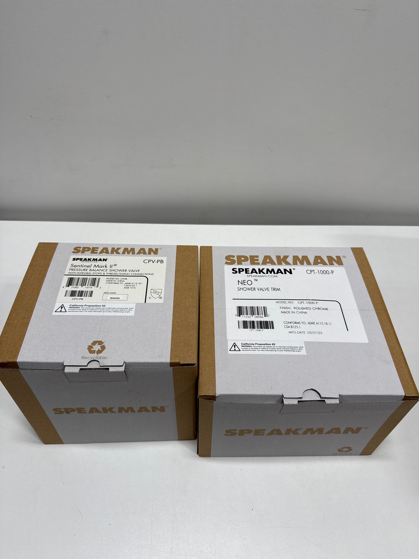 Speakman SM-1000-P Pressure Balance Shower Valve and Trim for Modern Designed Bathroom Dcor, Polished Chrome