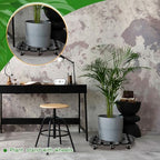 Taiyin Plant Caddy with Wheels 2 Pack 20 Inch Plant Stand with Metal Wheels Lockable Caster Wheels Heavy Duty Plant