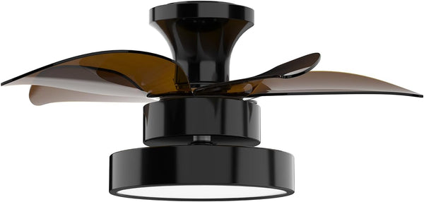 LEDMO Ceiling Fans with Lights and Remote Control, 24 inch Black Ceiling Fan, Quiet Reversible Motor, 5 Blades, Multi-Speed Reversible Airflow for All Seasons Bedroom, Living Room, Kitchen, Office