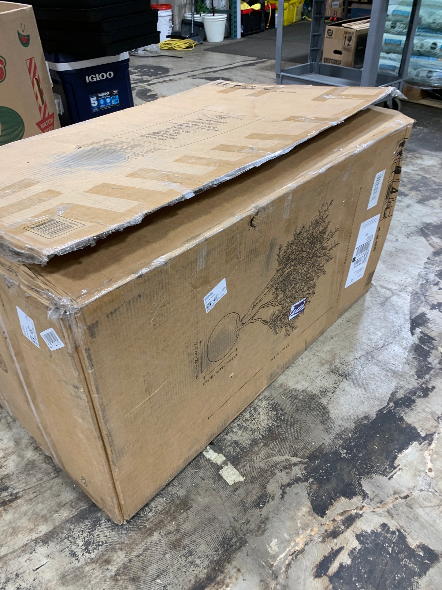 Damage Kirkland Faux 8’ Olive Tree