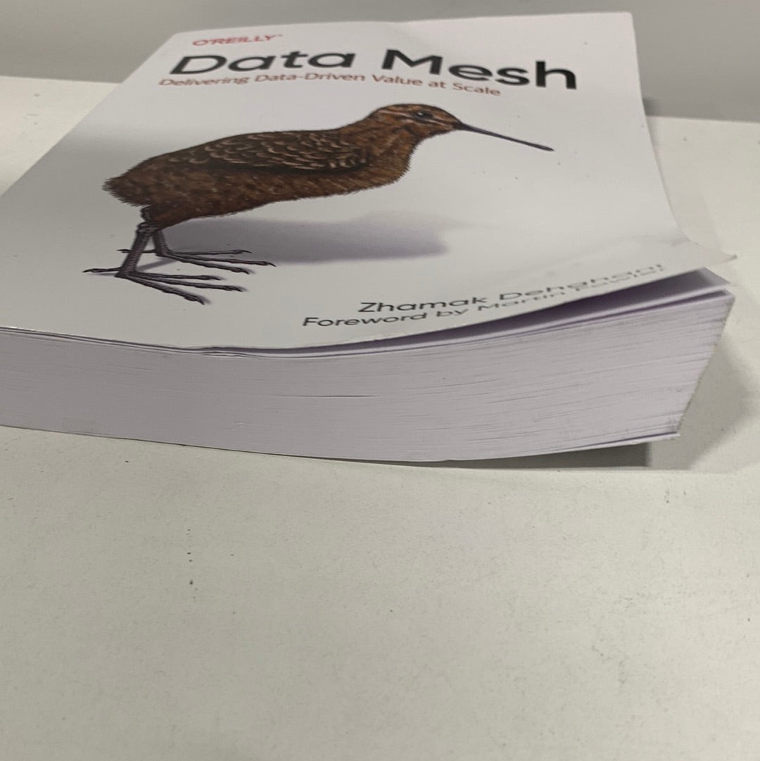 Data Mesh: Delivering Data-Driven Value at Scale (Paperback)