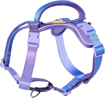 DF Freedom No Pull Martingale Dog Harness, Gentle Control for No Choking, Front Clip Harness with Reflective, Adjustable & Padded Handle for Easy Walking & Training, Rainbow, 3/4", Chest 22.4"-30.4