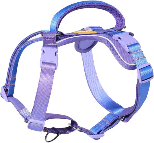 DF Freedom No Pull Martingale Dog Harness, Gentle Control for No Choking, Front Clip Harness with Reflective, Adjustable & Padded Handle for Easy Walking & Training, Rainbow, 3/4", Chest 22.4"-30.4